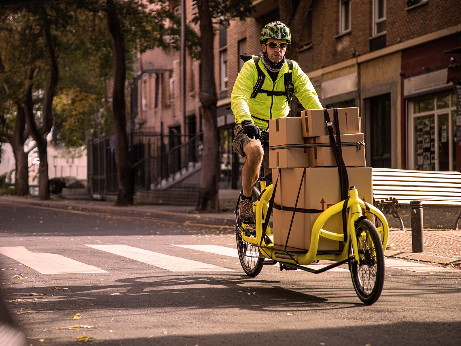Nationale Transporte LM Delivery GmbH      